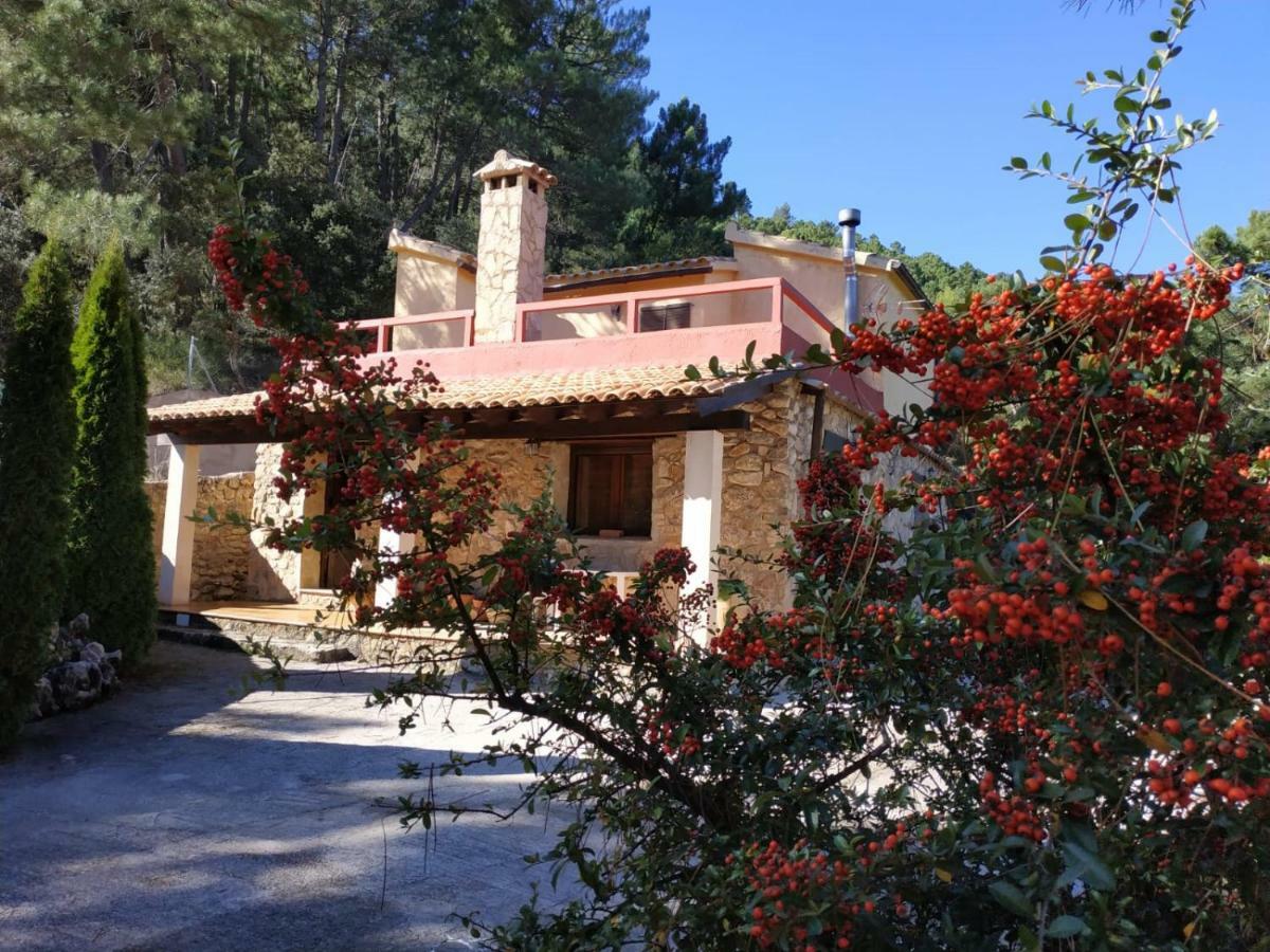 Casa Rural Villa Concha Riopar Bagian luar foto